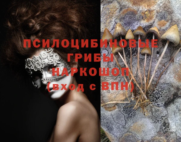 соль курить ск Абаза