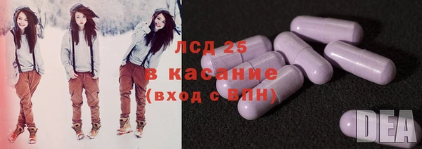 крисы Новозыбков