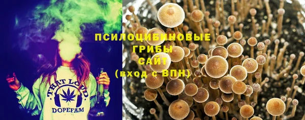 гидропоника Новодвинск