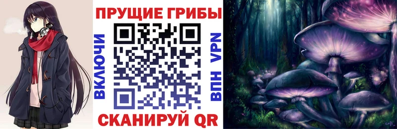 мега ССЫЛКА  Яранск  Псилоцибиновые грибы мухоморы 